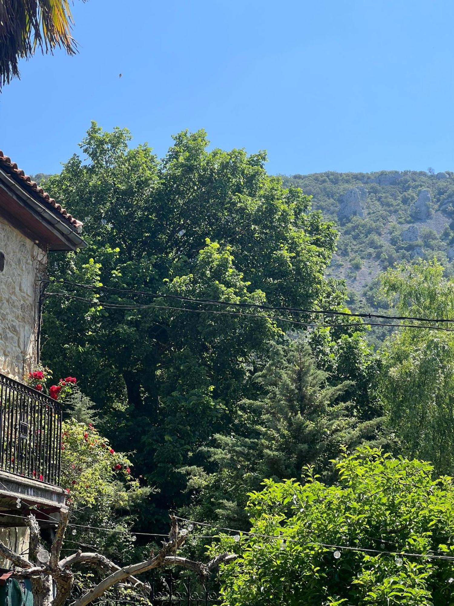 Palacio De Los Alvarado En Las Merindades El Ribero Eksteriør bilde